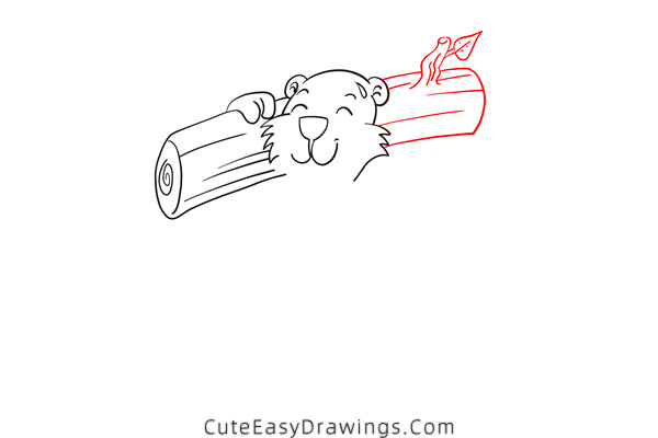 how to draw a marmot - www.cuteeasydrawings.com