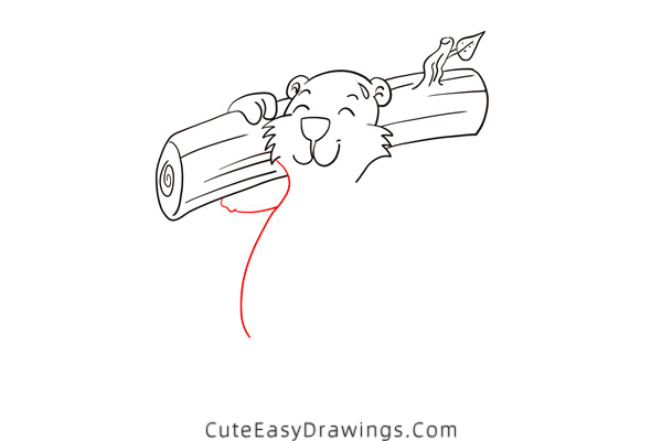 how to draw a marmot - www.cuteeasydrawings.com