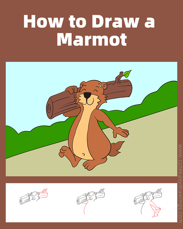 how to draw a marmot - www.cuteeasydrawings.com