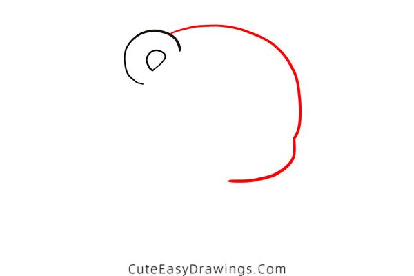 how to draw a baby bear - www.cuteeasydrawings.com