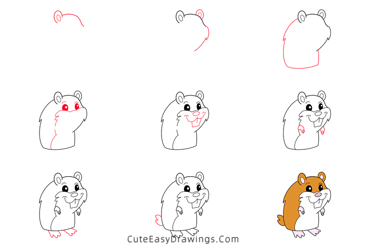 how to draw a cute hamster - www.cuteeasydrawings.com