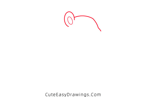 how to draw a cute hamster - www.cuteeasydrawings.com