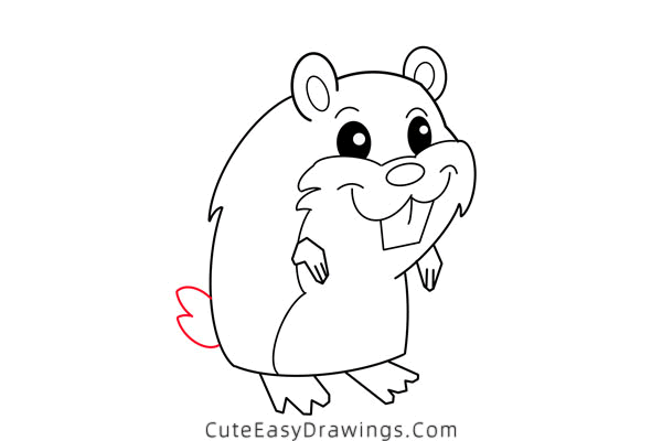 how to draw a cute hamster - www.cuteeasydrawings.com