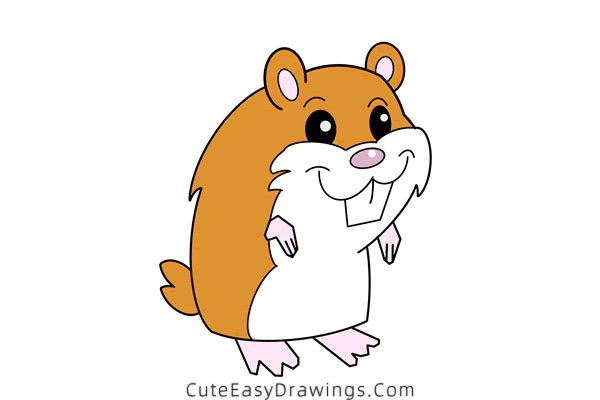 how to draw a cute hamster - www.cuteeasydrawings.com