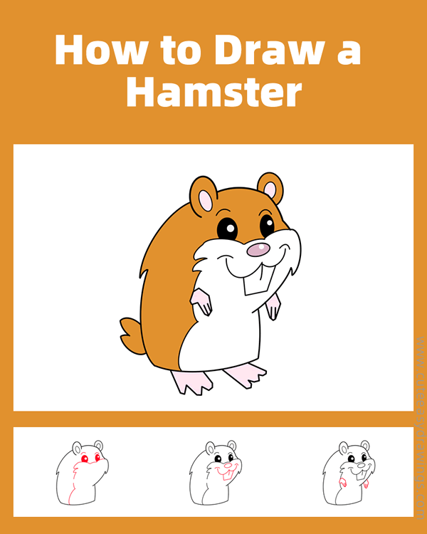 how to draw a cute hamster - www.cuteeasydrawings.com