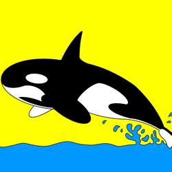 How to Draw a Killer Whale Step by Step
