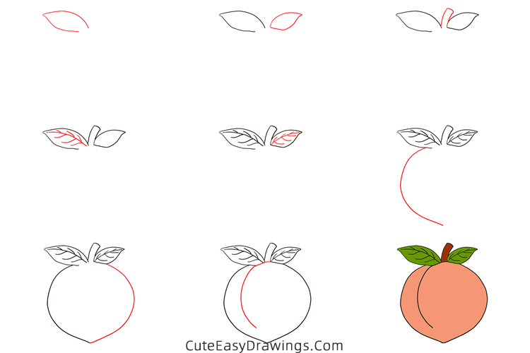 how to draw a peach - www.cuteeasydrawings.com