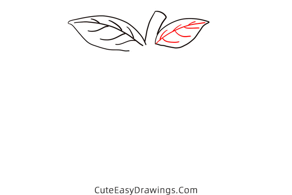 how to draw a peach - www.cuteeasydrawings.com