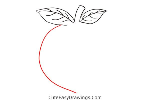 how to draw a peach - www.cuteeasydrawings.com