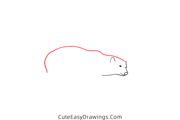 how to draw a polar bear walking - www.cuteeasydrawings.com