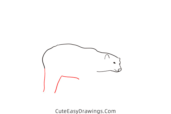 how to draw a polar bear walking - www.cuteeasydrawings.com