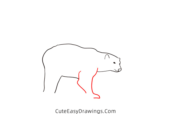 how to draw a polar bear walking - www.cuteeasydrawings.com