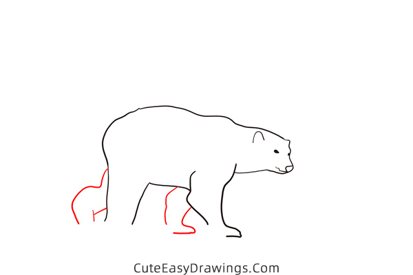 how to draw a polar bear walking - www.cuteeasydrawings.com