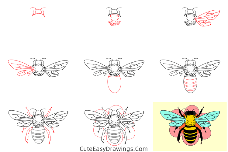 how to draw a wasp - www.cuteeasydrawings.com