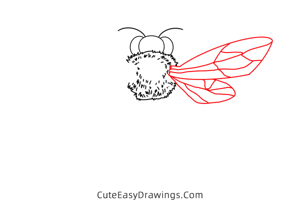 how to draw a wasp - www.cuteeasydrawings.com