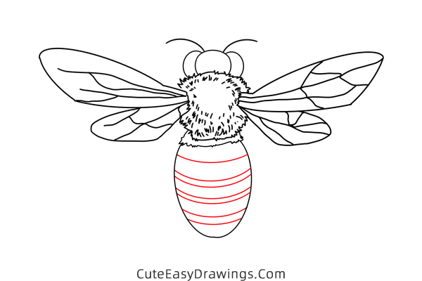 how to draw a wasp - www.cuteeasydrawings.com