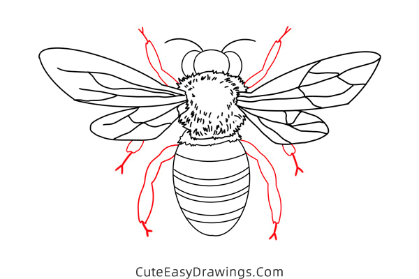 how to draw a wasp - www.cuteeasydrawings.com