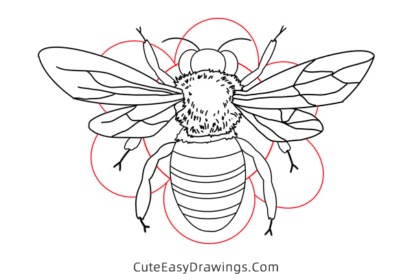 how to draw a wasp - www.cuteeasydrawings.com