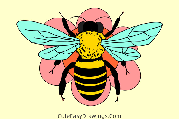 how to draw a wasp - www.cuteeasydrawings.com