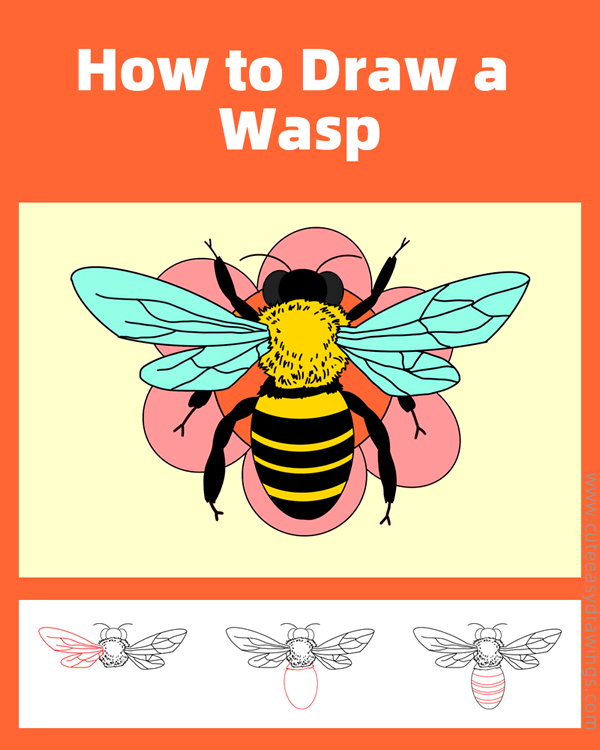 how to draw a wasp - www.cuteeasydrawings.com