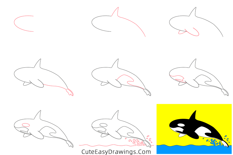 how to draw a killer whale - www.cuteeasydrawings.com