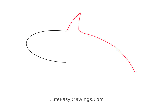 how to draw a killer whale - www.cuteeasydrawings.com