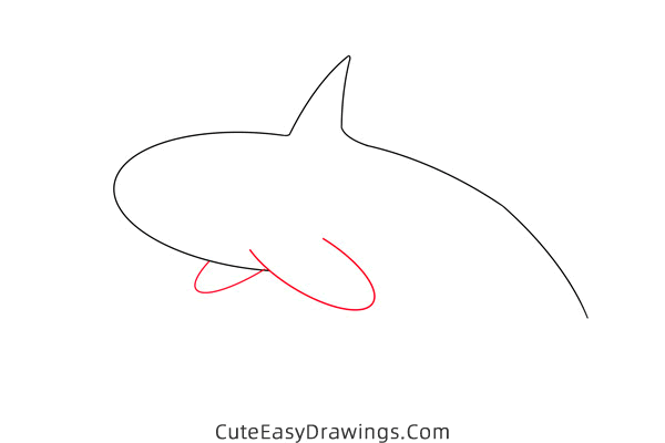 how to draw a killer whale - www.cuteeasydrawings.com