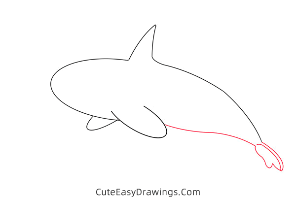 how to draw a killer whale - www.cuteeasydrawings.com