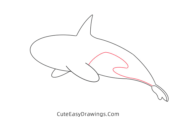 how to draw a killer whale - www.cuteeasydrawings.com