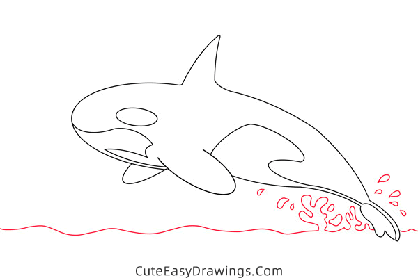 how to draw a killer whale - www.cuteeasydrawings.com