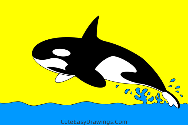 how to draw a killer whale - www.cuteeasydrawings.com