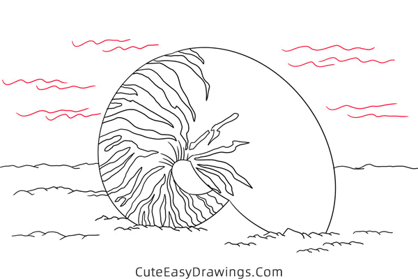 how to draw a conch - www.cuteeasydrawings.com