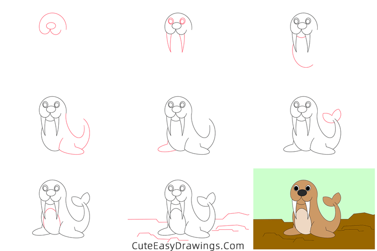 how to draw a walrus easy - www.cuteeasydrawings.com