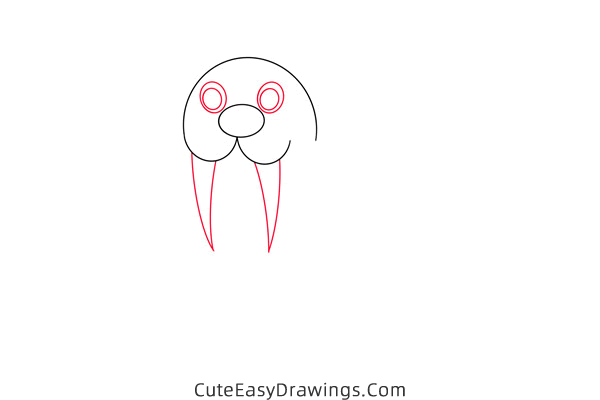 how to draw a walrus easy - www.cuteeasydrawings.com