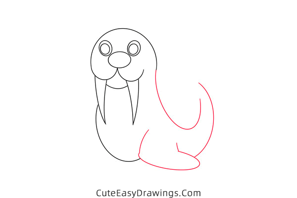 how to draw a walrus easy - www.cuteeasydrawings.com