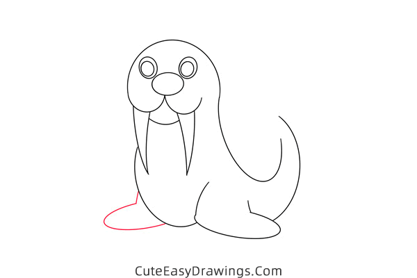 how to draw a walrus easy - www.cuteeasydrawings.com