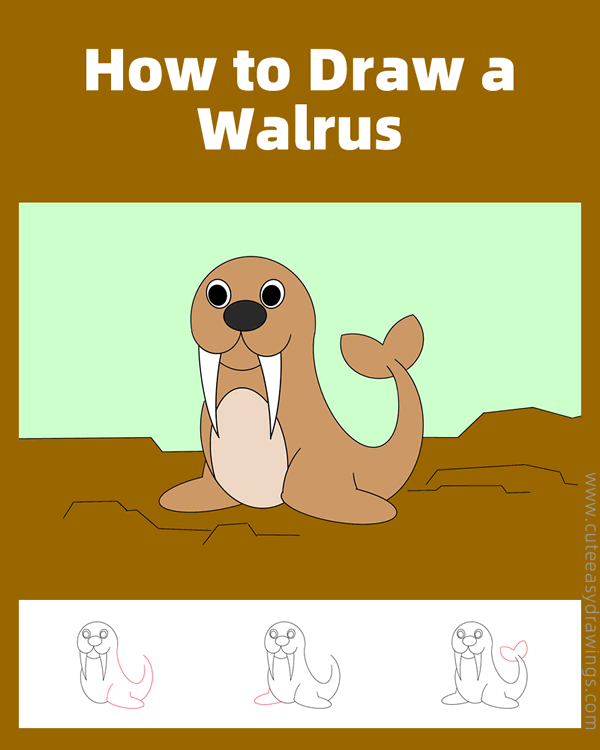 how to draw a walrus easy - www.cuteeasydrawings.com