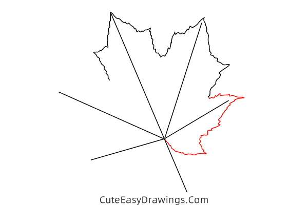 how to draw a maple leaf - www.cuteeasydrawings.com