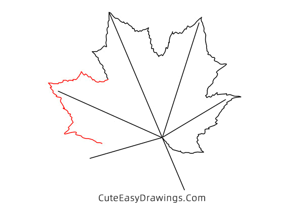 how to draw a maple leaf - www.cuteeasydrawings.com