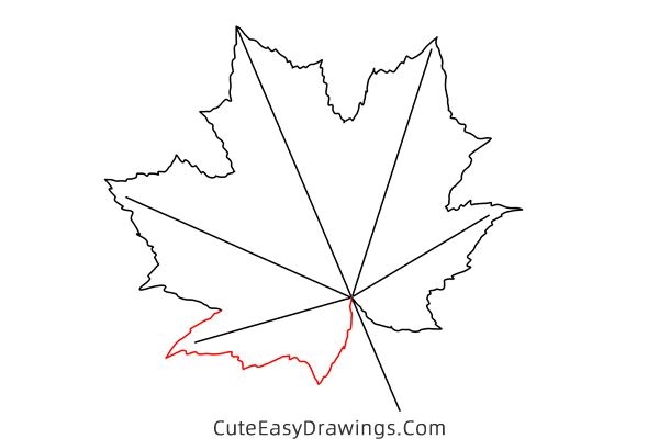 how to draw a maple leaf - www.cuteeasydrawings.com