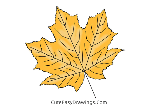 how to draw a maple leaf - www.cuteeasydrawings.com