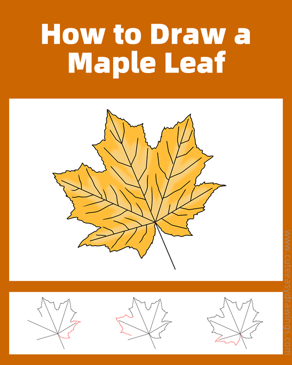 how to draw a maple leaf - www.cuteeasydrawings.com