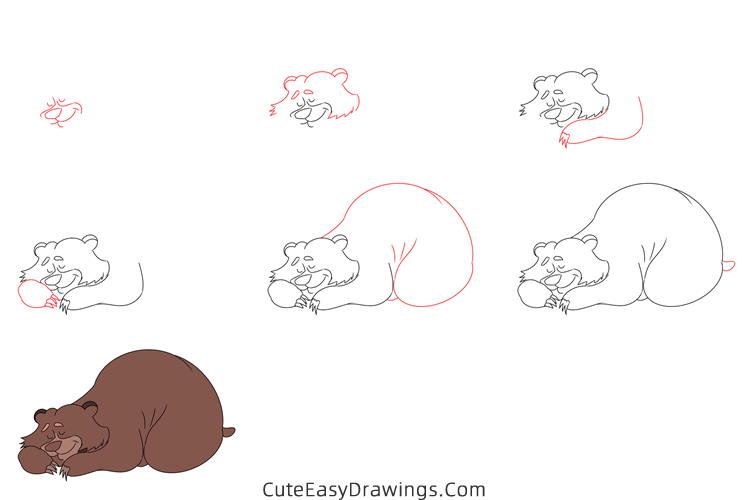 how to draw a hibernating bear - www.cuteeasydrawings.com