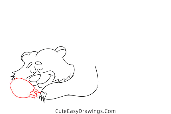 how to draw a hibernating bear - www.cuteeasydrawings.com