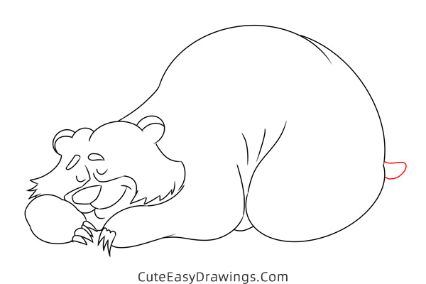 how to draw a hibernating bear - www.cuteeasydrawings.com