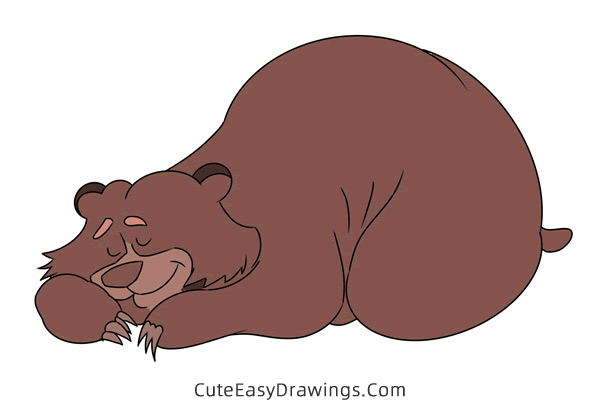 how to draw a hibernating bear - www.cuteeasydrawings.com