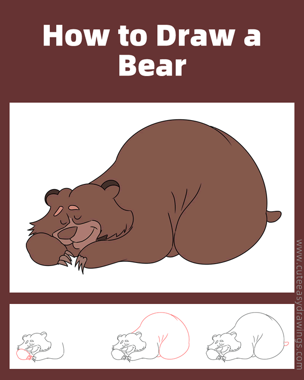 how to draw a hibernating bear - www.cuteeasydrawings.com