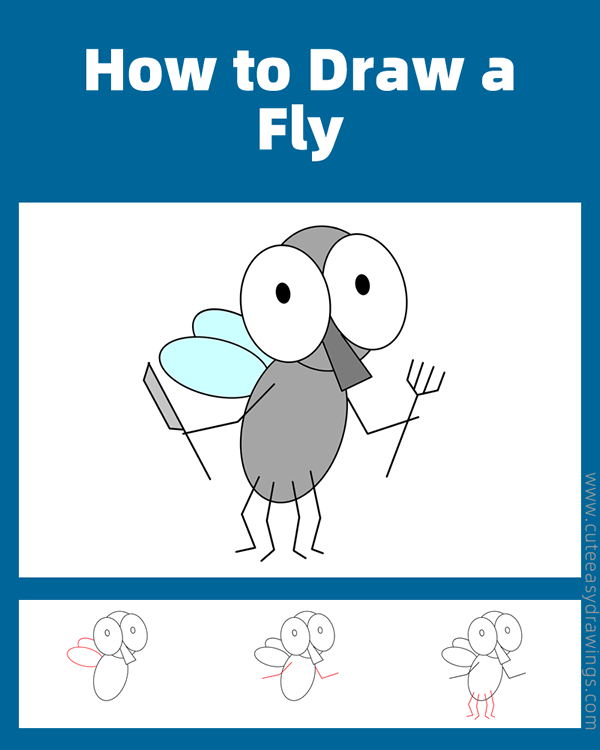 how to draw a fly easy - www.cuteeasydrawings.com