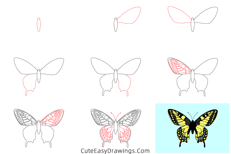 how to draw a butterfly - www.cuteeasydrawings.com