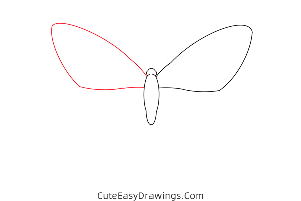 how to draw a butterfly - www.cuteeasydrawings.com